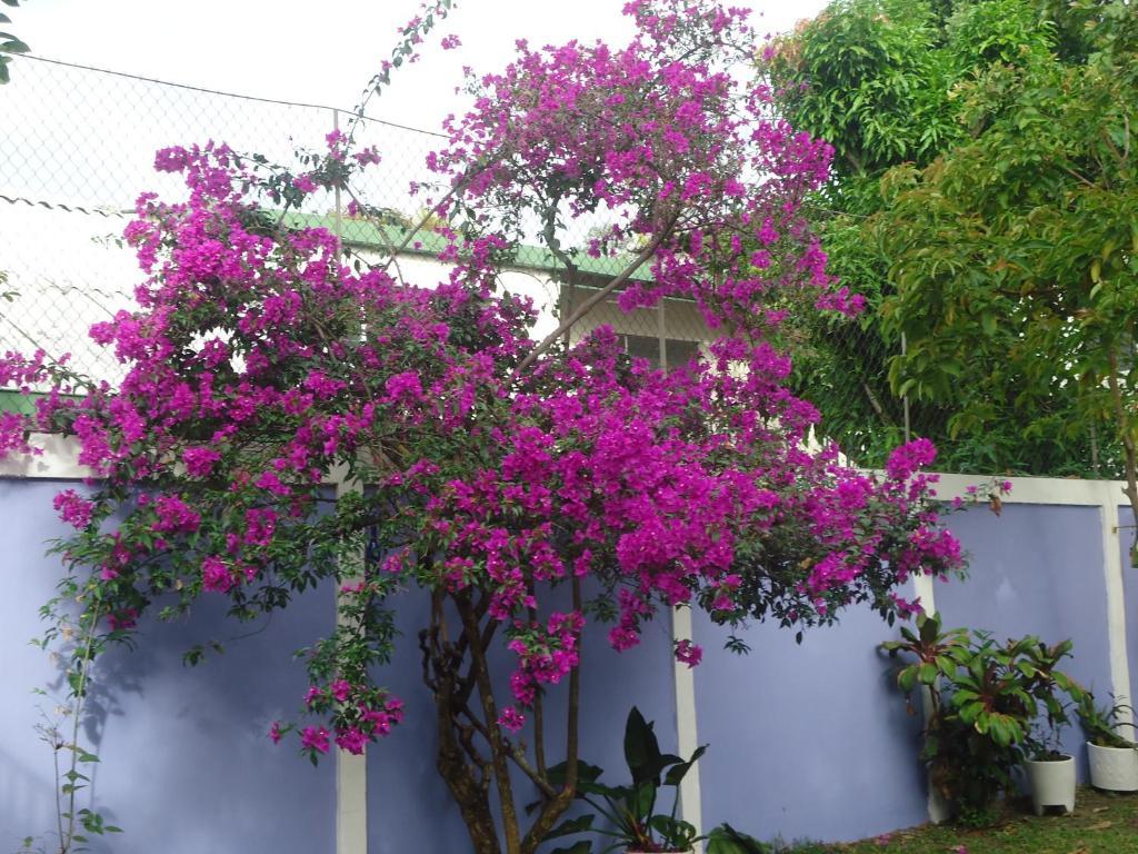 Hotel Jardin Del Carmen San Salvador Extérieur photo